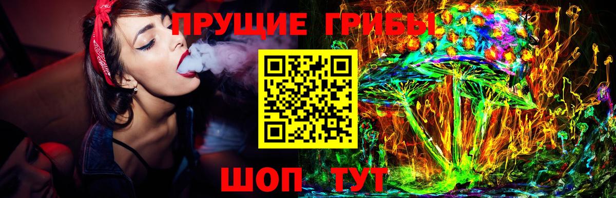 Зерноград  Псилоцибиновые грибы Psilocybe  Вход с VPN  Псилоцибиновые грибы MAGIC MUSHROOMS 